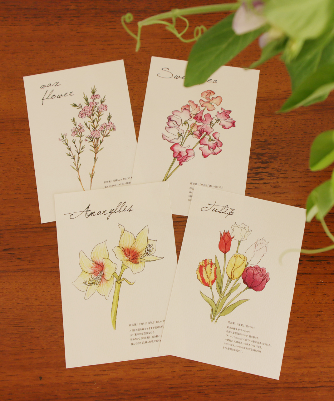 お花の定期便 オリジナルポストカード付き Mumokuteki ムモクテキ公式通販サイト
