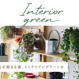 Interior green 新生活が始まる春、インテリアにグリーンを