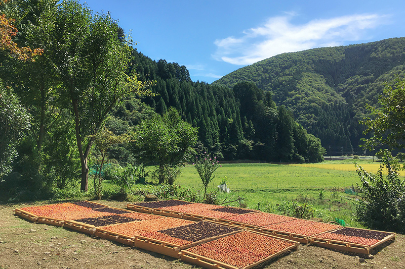 お中元 大切な人へからだ想いの夏のおくりもの