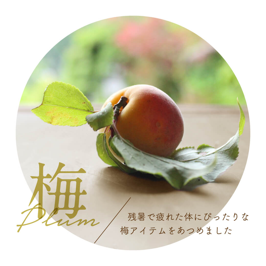 梅 - Plum -
