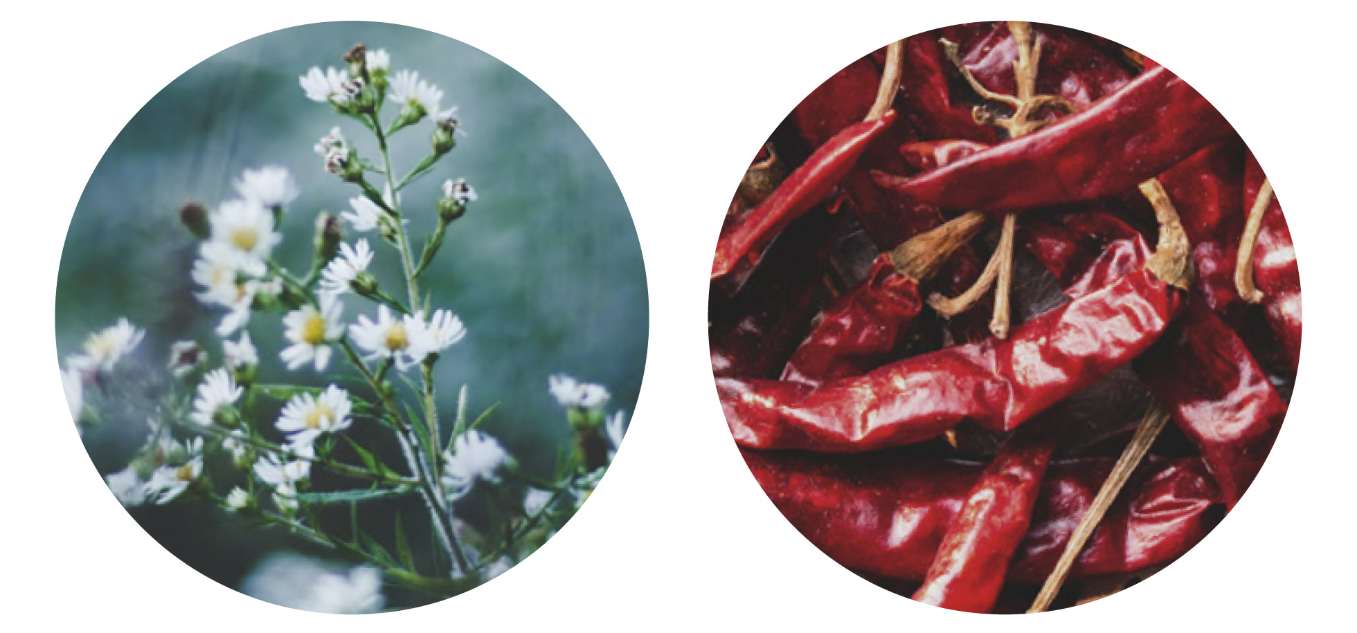 「セルフヒーター加工」