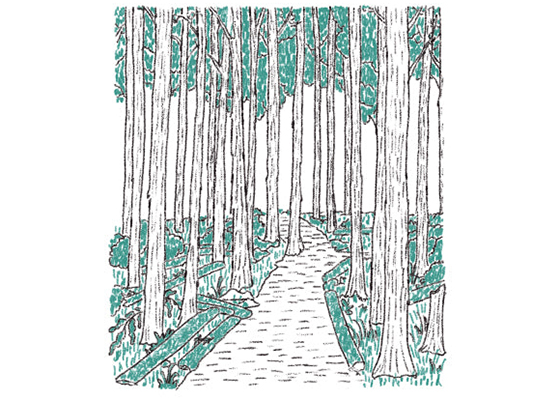 トレイルロード