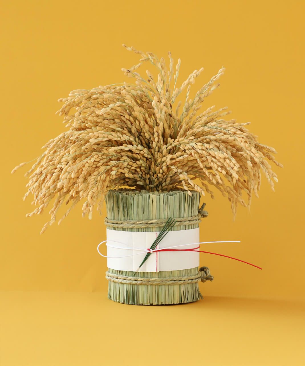 稲藁研究所<br />
豊穣の稲穂