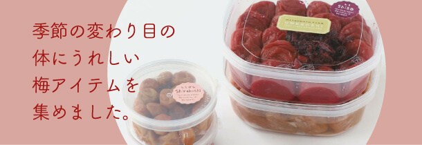 自然の酸味で体を整える梅特集